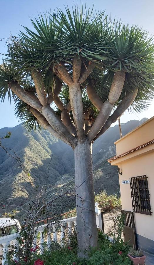 Villa Casa Noni Santa Cruz de Tenerife Exterior foto